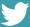 twitter-white
